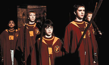 Quidditch-copy-2