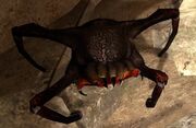 Poison Headcrab02