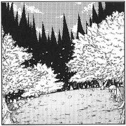 PMiSS muendzuka