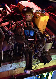 Kermit The Frog Star Tours