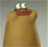 User 3137