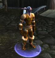 Tanned Leather Armor