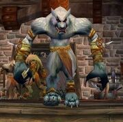 Moonrage Tailor Worgen