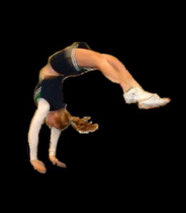 handspring wiki wikia gym