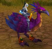 Purple Hawkstrider