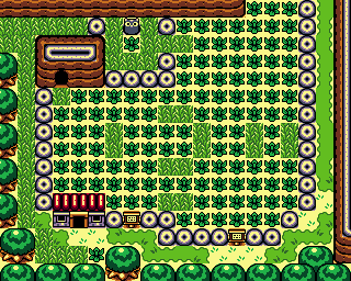 Pothole Field