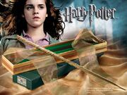 Hermione's Wand