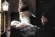 BumbleboreMcGeegeeHARRY