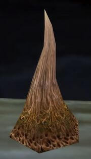 Knotroot