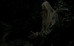 Dumbledore cutting himself Cave