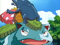 EP441 Heracross comiendo la savia de Venusaur