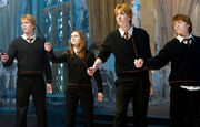 Weasleys'