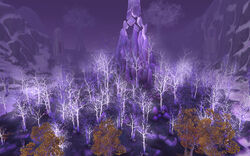 Unbound Thicket