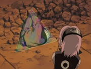 Narusakuvsarashi5