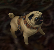PerkyPug