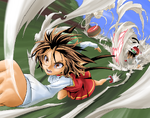 Wind Dasher