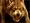 Twilight wolfgaincontrol 100x75