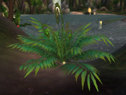 Sandfern