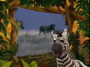 Zebrasong