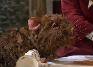 Thedormouse