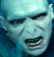 Voldemort95