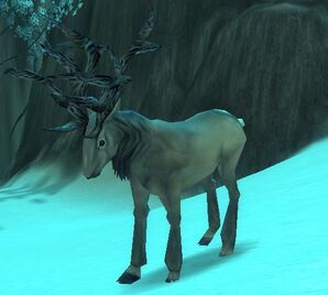 Cerf