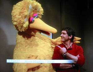 Big-Bird-&-Antonio-Banderas-1