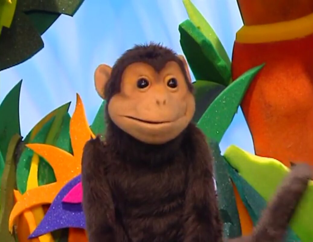 Animal Show monkey