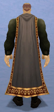 Duskwoven Cape, Snow Background, Human Male