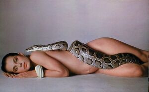 Richard-Avedon's-Nastassja-Kinski-and-the-Serpent-1981
