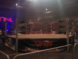 Th tna 001 ring