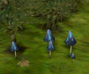 Blue Mushroom
