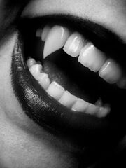 Vampire02-1-