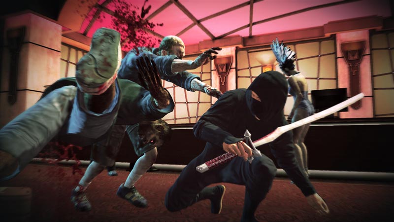 Reserve Dead Rising 2 and receive the Ninja Theme Pack. The pack Reserve Dead Rising 2 and receive the Ninja Theme Pack. The pack