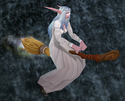 Flying Broom
