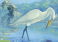 Crane