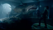 Requin Xmascarol