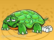 Tortuga