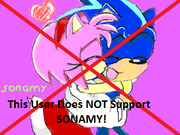 No SonAmy