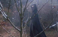 P1 Voldemort en el Valle de Godric