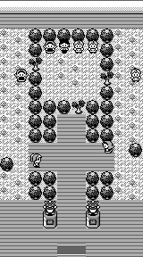 Celadon Gym RB
