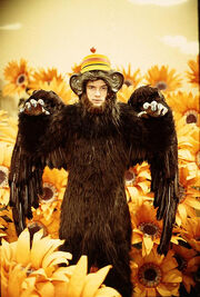 The Flying Monkey