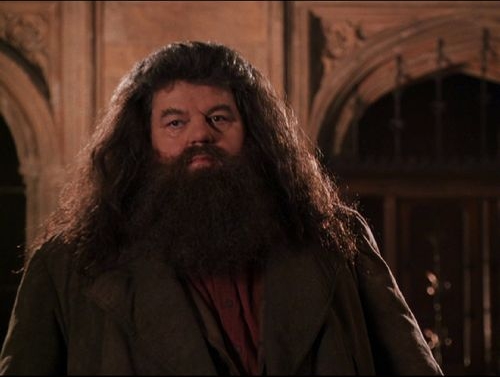 rubeus hagrid in harry potter