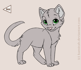 Rainbelly, A Warrior Of ThunderClan