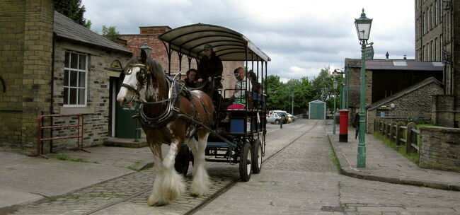 BradfordIndM 028
