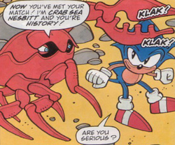 STC127-CrabSeaNesbitt