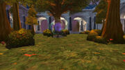 SWKGarden
