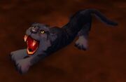 Panther Cub WoW Wild 3