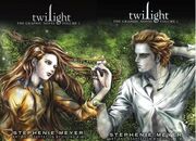 Twilight novel-09089