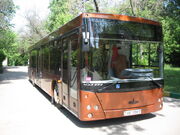 Low-floor bus MAZ 203